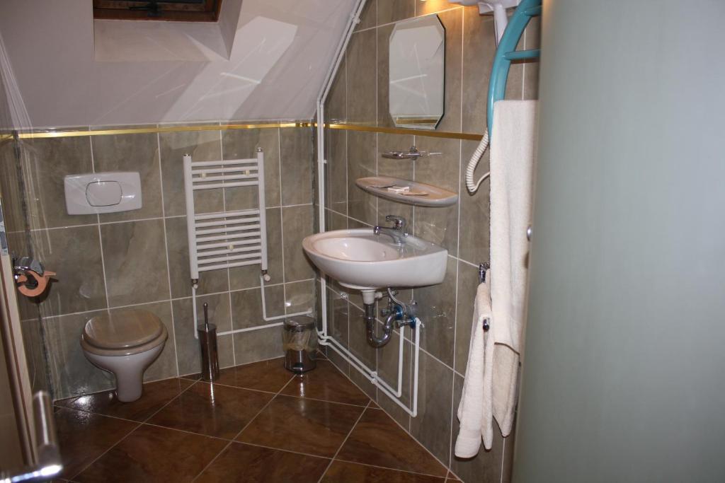 Pensiunea Zodiac Timisoara Room photo