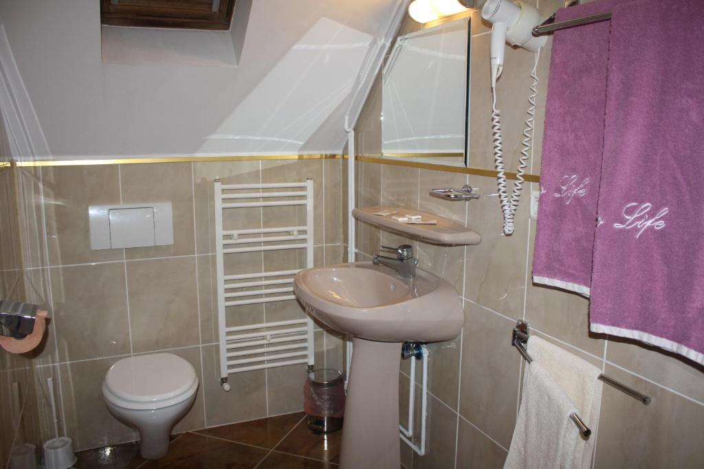Pensiunea Zodiac Timisoara Room photo